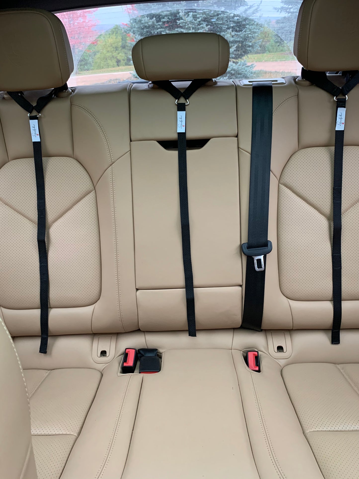 a Strap For That™  Black Save On 4 Pack passenger seat bag securing strap